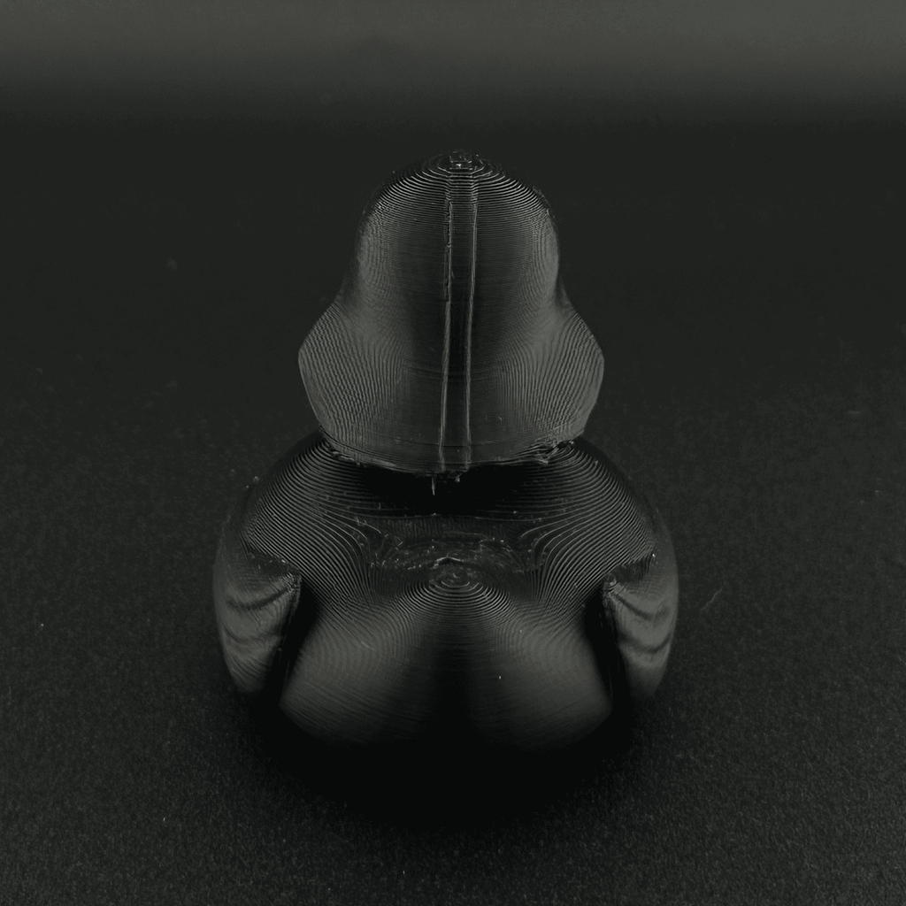 Darth Vader Duck