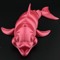 Flexxy Dolphin