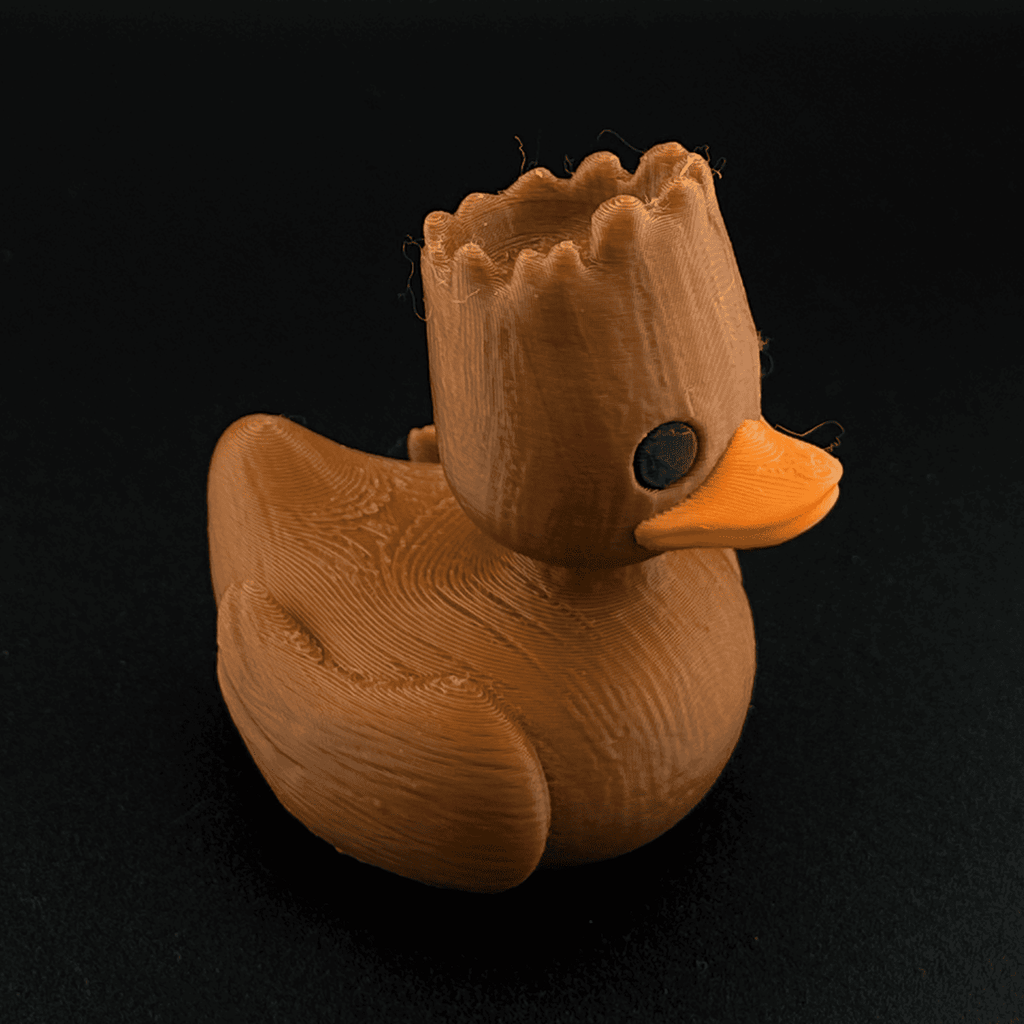 Groot Duck