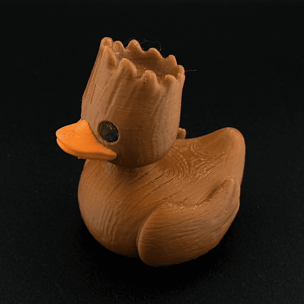 Groot Duck