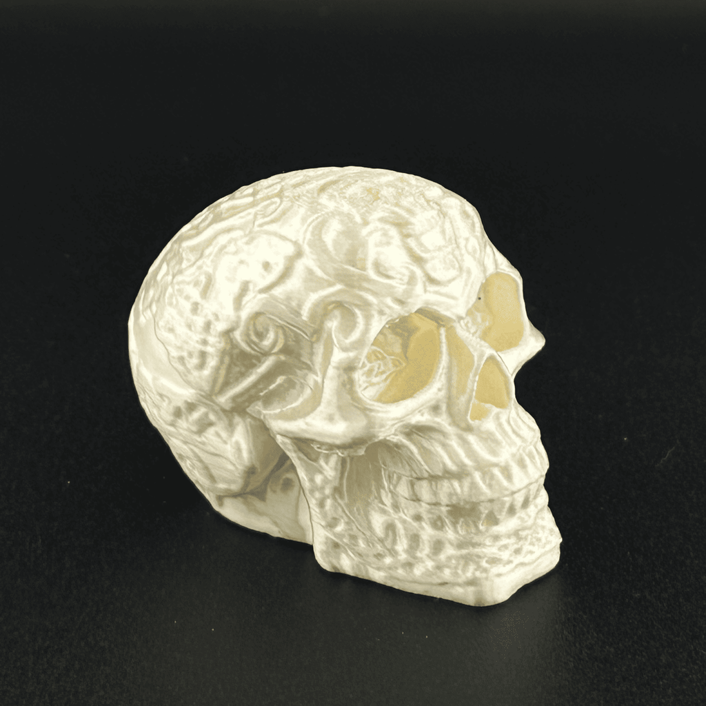 Celtic Skull