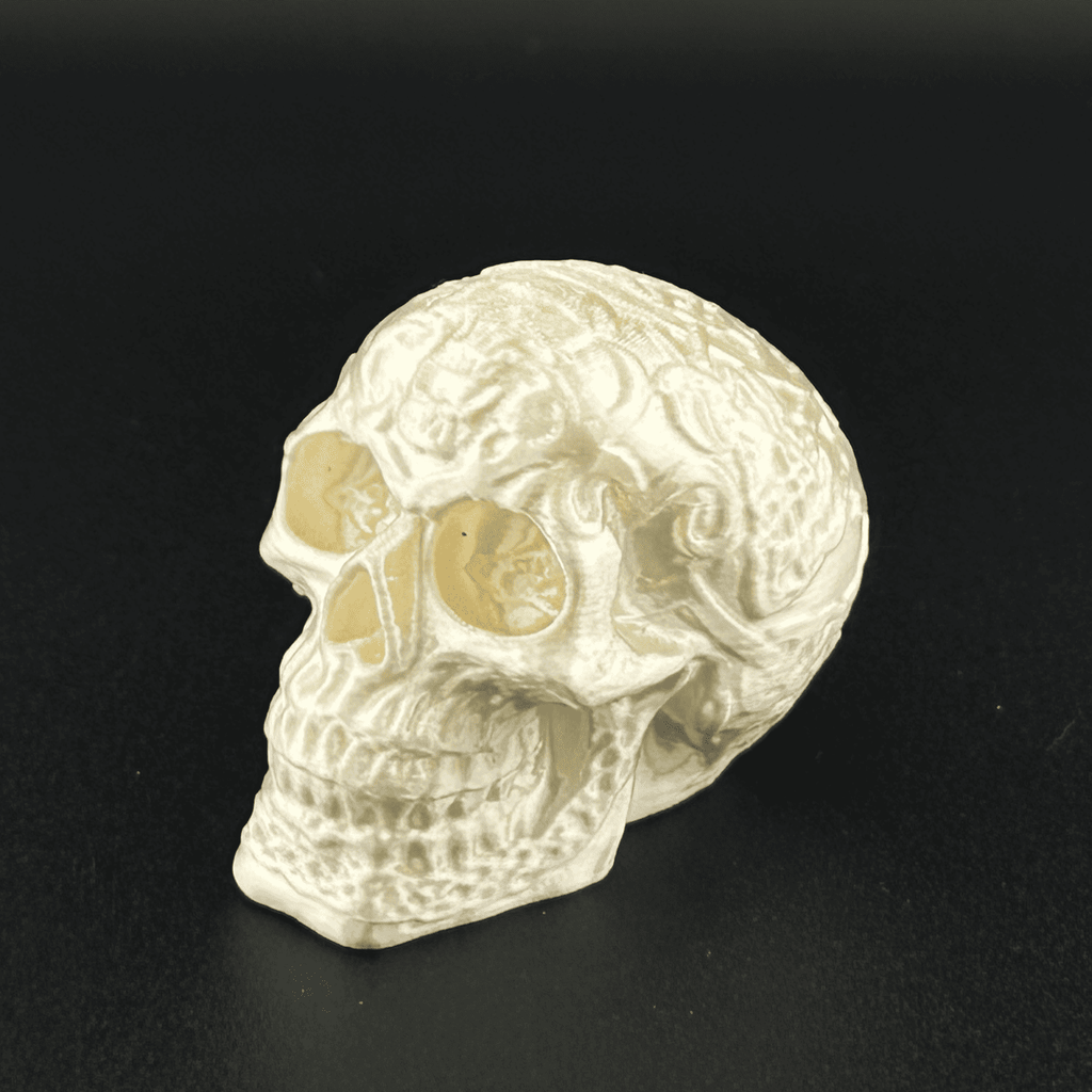 Celtic Skull